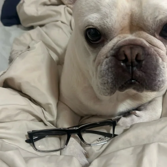 Oakley Black Frames (never worn) - Picture 10 of 11